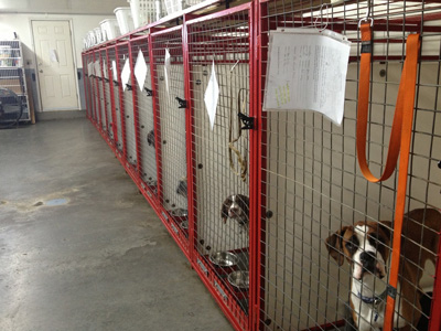 Boarding kennels